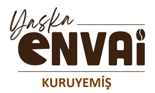Envai Logo